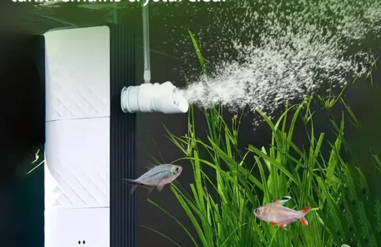 ตัวกรองตู้ปลาเงียบ ระบบกรองน้ำ 3 in 1 ในตัว ระบบกรองตู้ปลาขนาดเล็ก ปั๊มออกซิเจน 25W 1