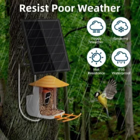 D5 แผงพลังงานแสงอาทิตย์ DC 3.7 V/5 V/6 V/9 V/12 V Solar Charger สําหรับกล้องรักษาความปลอดภัย Doorbell แหล่งจ่ายไฟพลังงานแสงอาทิตย์พร้อมพอร์ต Micro USB และ Type-C 5